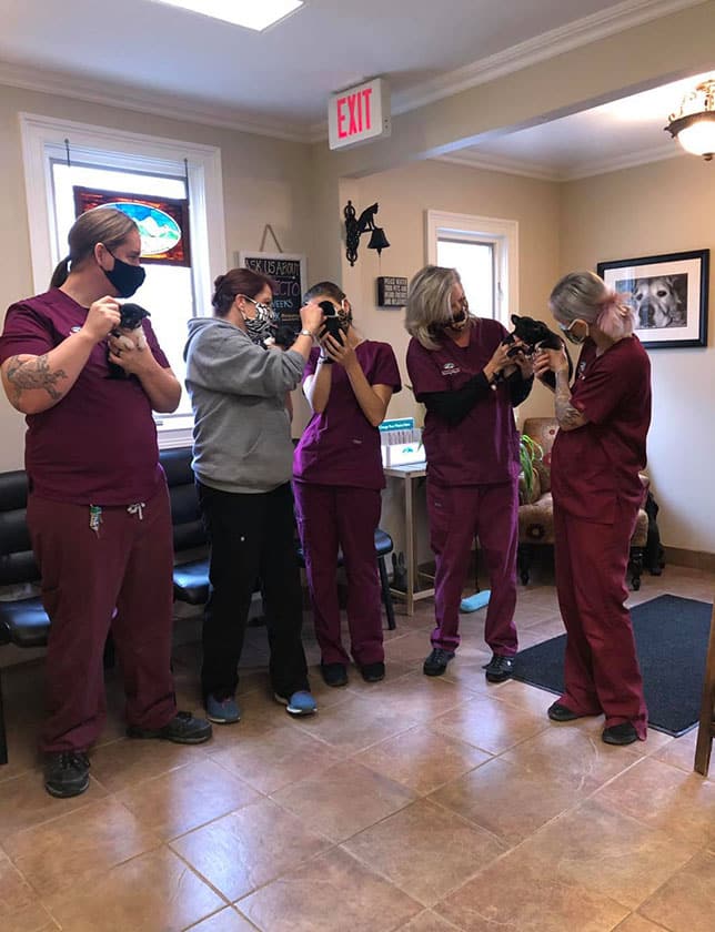 Five women, four in maroon scrubs and one in gray, stand indoors holding black kittens and wearing face masks. They appear to be veterinary staff admiring the kittens in a waiting room.
