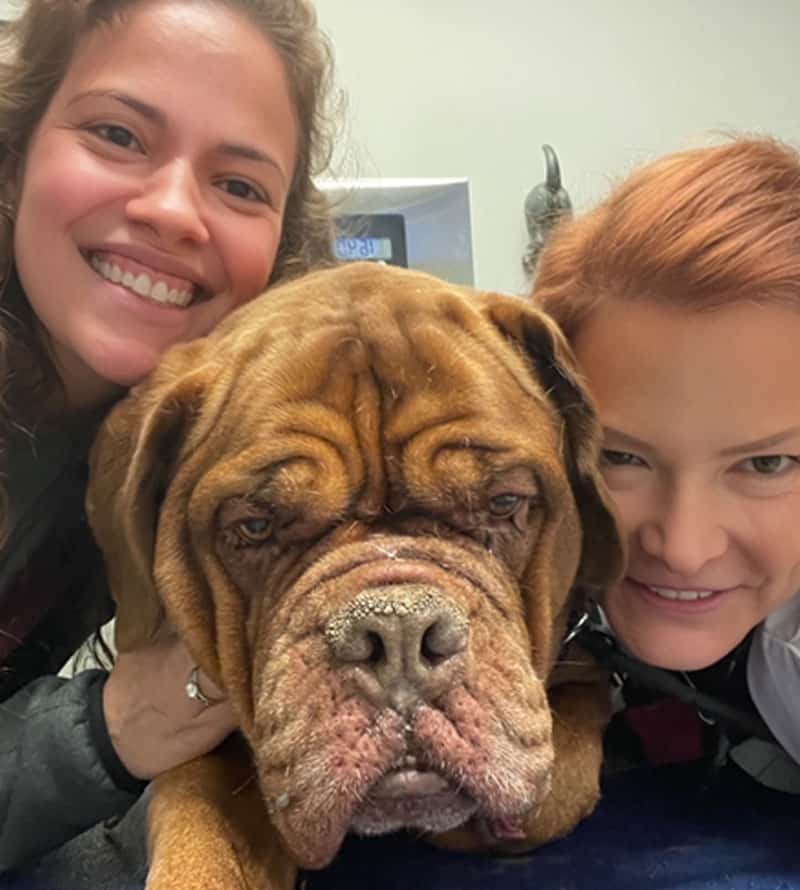 Two women are smiling and posing closely with a large brown dog that has a wrinkled face, indoors under bright lighting.