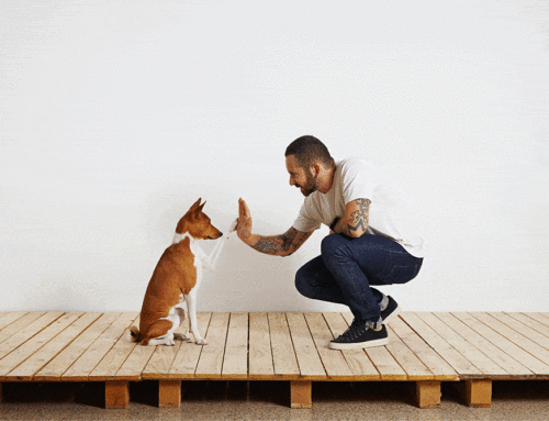 Allergic Reactions: Hives vs. Anaphylaxis and What We Do